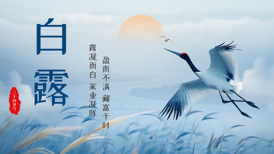 白露丨藏富有时，守业长青