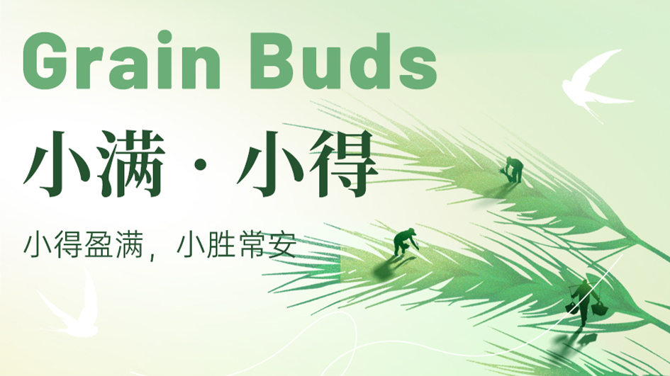 小满 | 小得盈满，步步从容