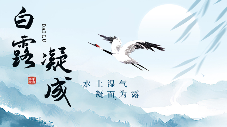 白露 | 水土凝露时，沉淀见真章